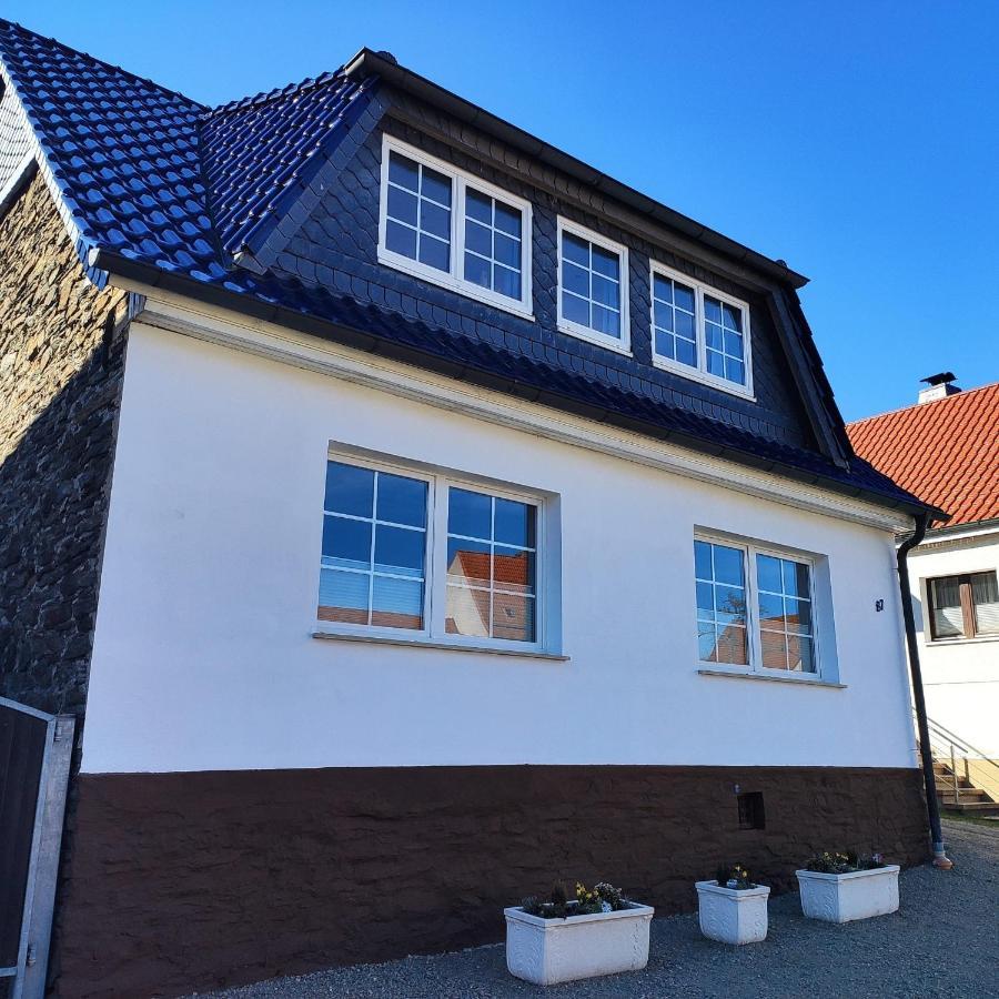 Ferienhaus Blaue Blume Mit 11 Kw Ladestation, Kamin, Terrasse, Eingezaeuntem Garten, Sauna, Wlan, Netflix, 2 Hunde Willkommen! Güntersberge Buitenkant foto
