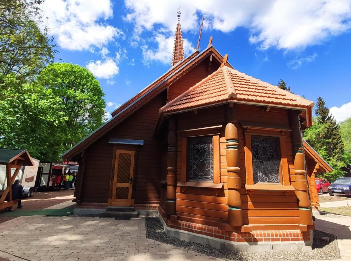 Ferienhaus Blaue Blume Mit 11 Kw Ladestation, Kamin, Terrasse, Eingezaeuntem Garten, Sauna, Wlan, Netflix, 2 Hunde Willkommen! Güntersberge Buitenkant foto