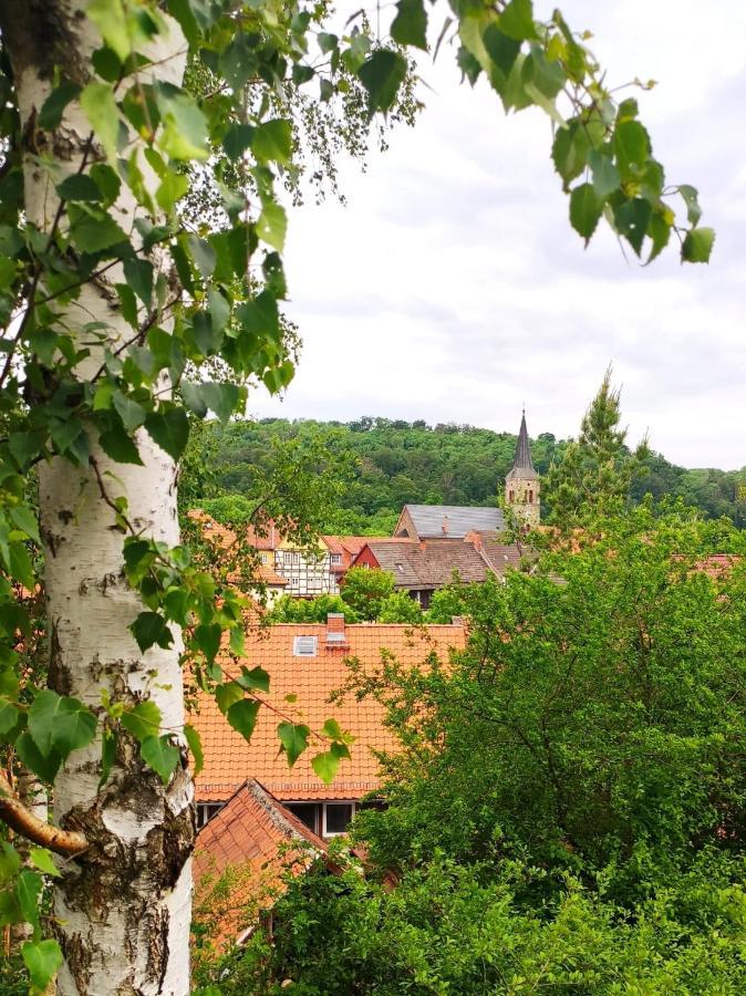 Ferienhaus Blaue Blume Mit 11 Kw Ladestation, Kamin, Terrasse, Eingezaeuntem Garten, Sauna, Wlan, Netflix, 2 Hunde Willkommen! Güntersberge Buitenkant foto