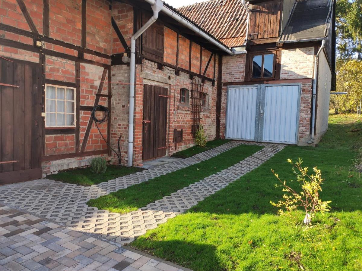 Ferienhaus Blaue Blume Mit 11 Kw Ladestation, Kamin, Terrasse, Eingezaeuntem Garten, Sauna, Wlan, Netflix, 2 Hunde Willkommen! Güntersberge Buitenkant foto