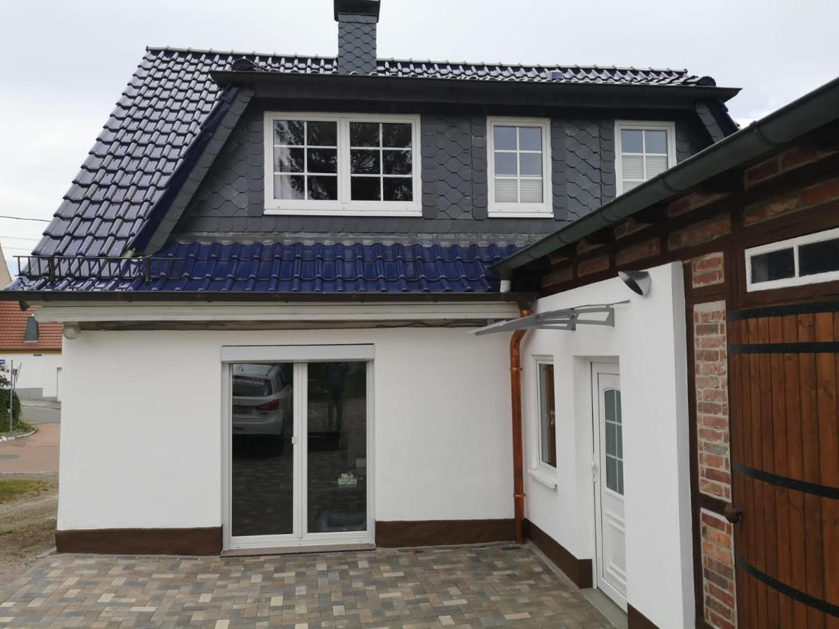 Ferienhaus Blaue Blume Mit 11 Kw Ladestation, Kamin, Terrasse, Eingezaeuntem Garten, Sauna, Wlan, Netflix, 2 Hunde Willkommen! Güntersberge Buitenkant foto