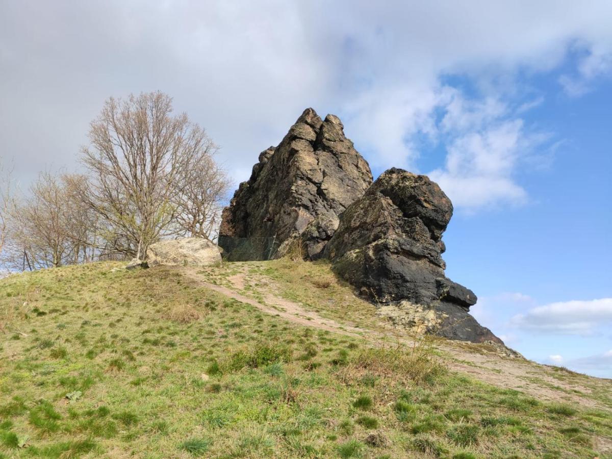 Ferienhaus Blaue Blume Mit 11 Kw Ladestation, Kamin, Terrasse, Eingezaeuntem Garten, Sauna, Wlan, Netflix, 2 Hunde Willkommen! Güntersberge Buitenkant foto