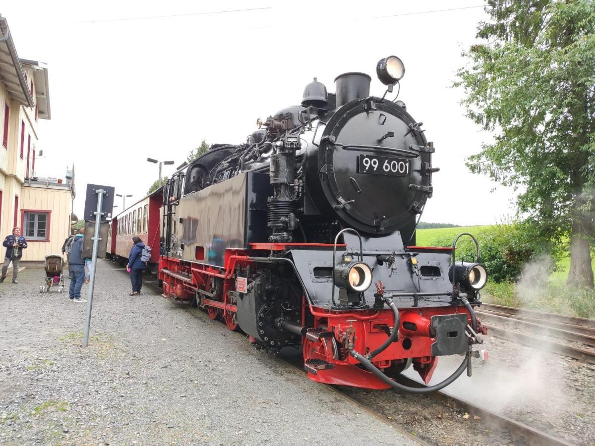 Ferienhaus Blaue Blume Mit 11 Kw Ladestation, Kamin, Terrasse, Eingezaeuntem Garten, Sauna, Wlan, Netflix, 2 Hunde Willkommen! Güntersberge Buitenkant foto