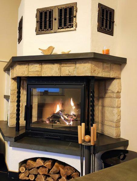Ferienhaus Blaue Blume Mit 11 Kw Ladestation, Kamin, Terrasse, Eingezaeuntem Garten, Sauna, Wlan, Netflix, 2 Hunde Willkommen! Güntersberge Buitenkant foto