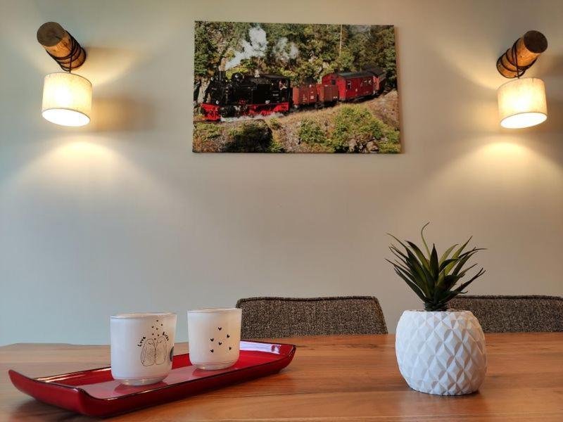 Ferienhaus Blaue Blume Mit 11 Kw Ladestation, Kamin, Terrasse, Eingezaeuntem Garten, Sauna, Wlan, Netflix, 2 Hunde Willkommen! Güntersberge Buitenkant foto
