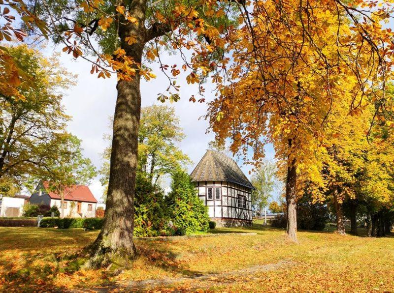 Ferienhaus Blaue Blume Mit 11 Kw Ladestation, Kamin, Terrasse, Eingezaeuntem Garten, Sauna, Wlan, Netflix, 2 Hunde Willkommen! Güntersberge Buitenkant foto